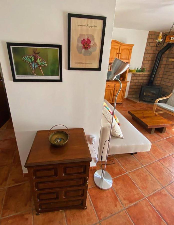 Apartamento Rural El Vidre Vt-42035-Cs 比斯塔韦利亚德尔迈斯特拉斯戈 外观 照片